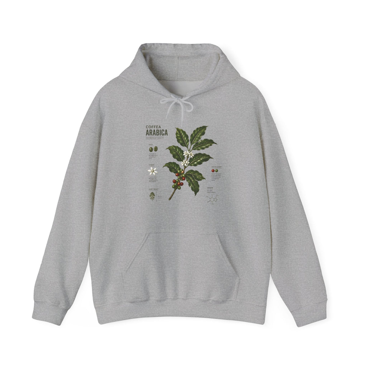 Coffee Plant Hoodie — Coffea Arabica Botanical Illustration Sweatshirt