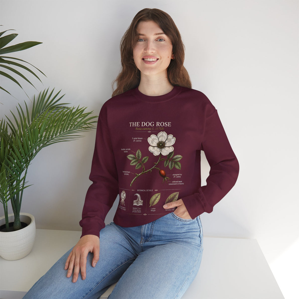 Dog Rose Botanical Sweatshirt — Vintage Floral Anatomy Crewneck