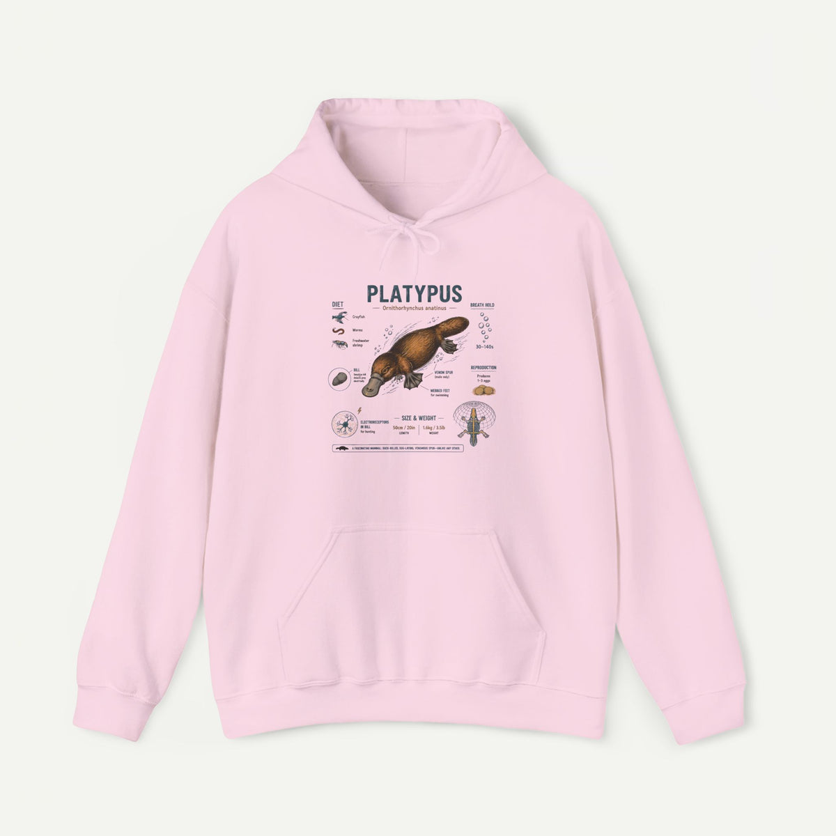 Platypus Anatomy Hoodie — Scientific Illustration Pullover for Nature Lovers