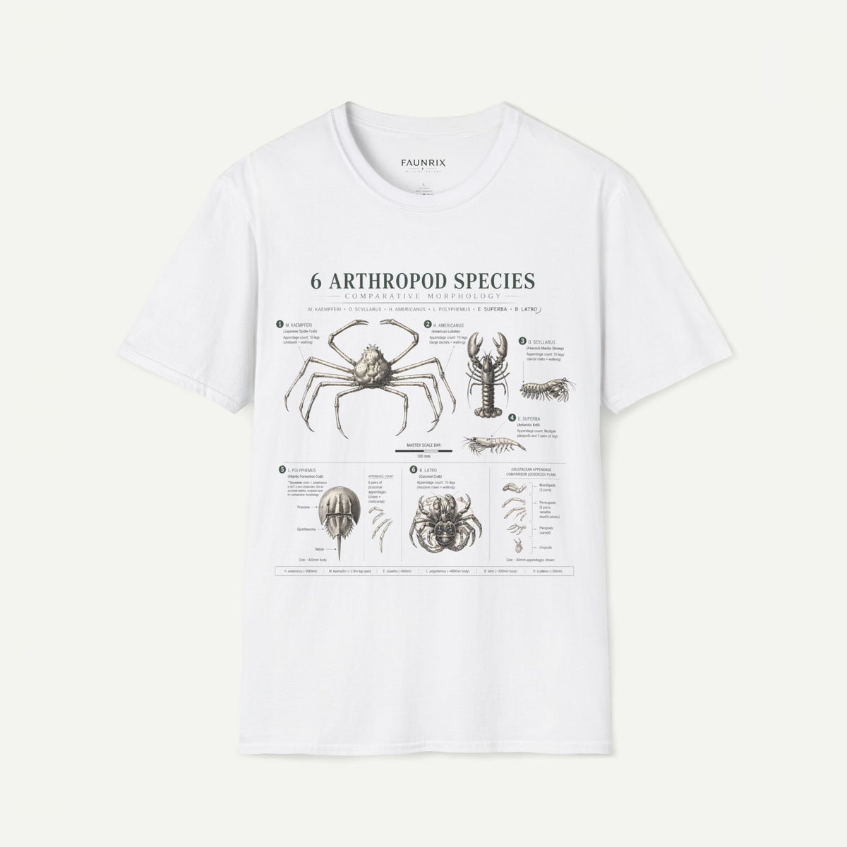 Arthropod Species Graphic Anatomy T-Shirt — 6 Detailed Arthropod Illustrations Main image