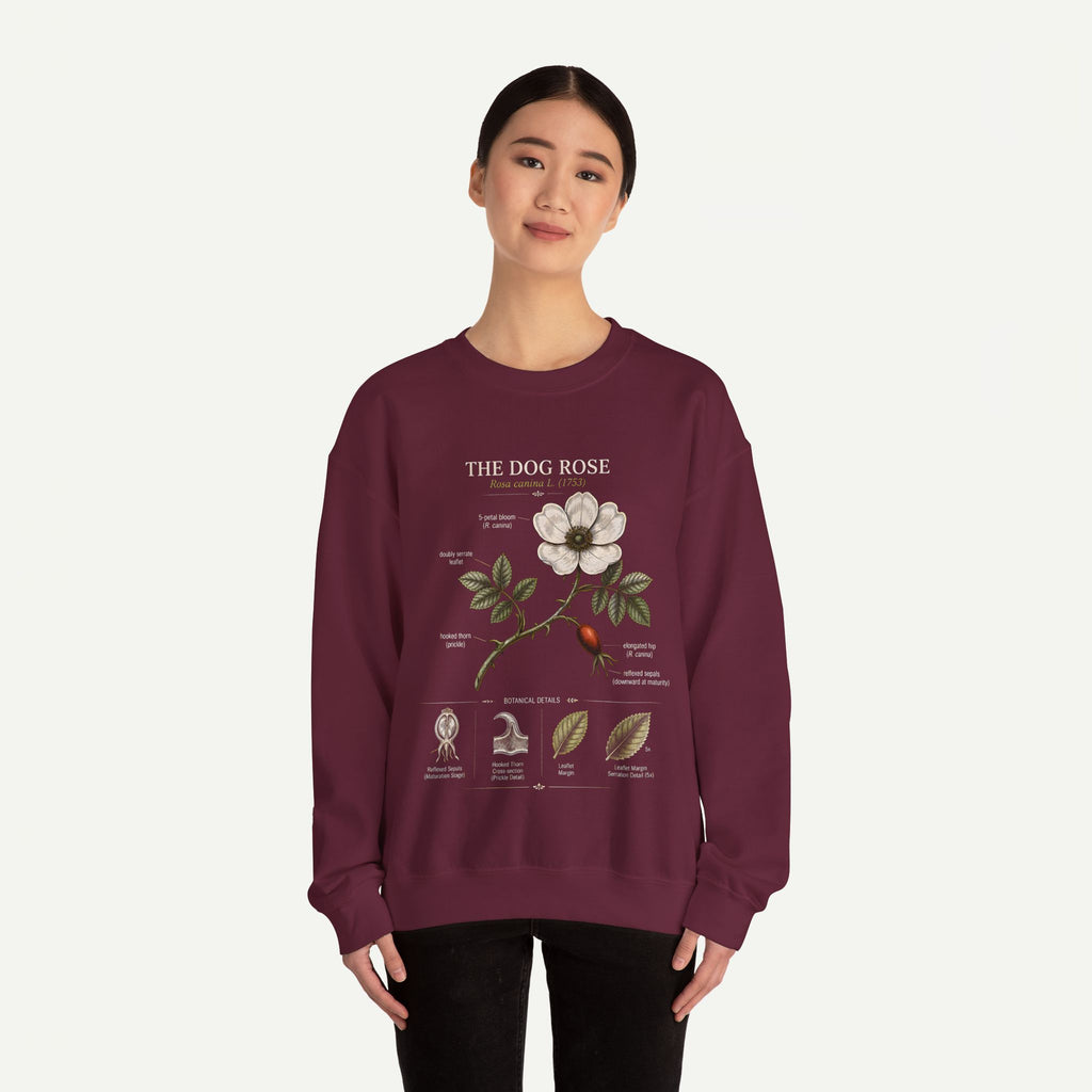 Dog Rose Botanical Sweatshirt — Vintage Floral Anatomy Crewneck
