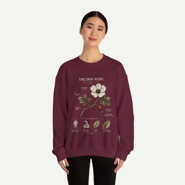 Dog Rose Botanical Sweatshirt — Vintage Floral Anatomy Crewneck