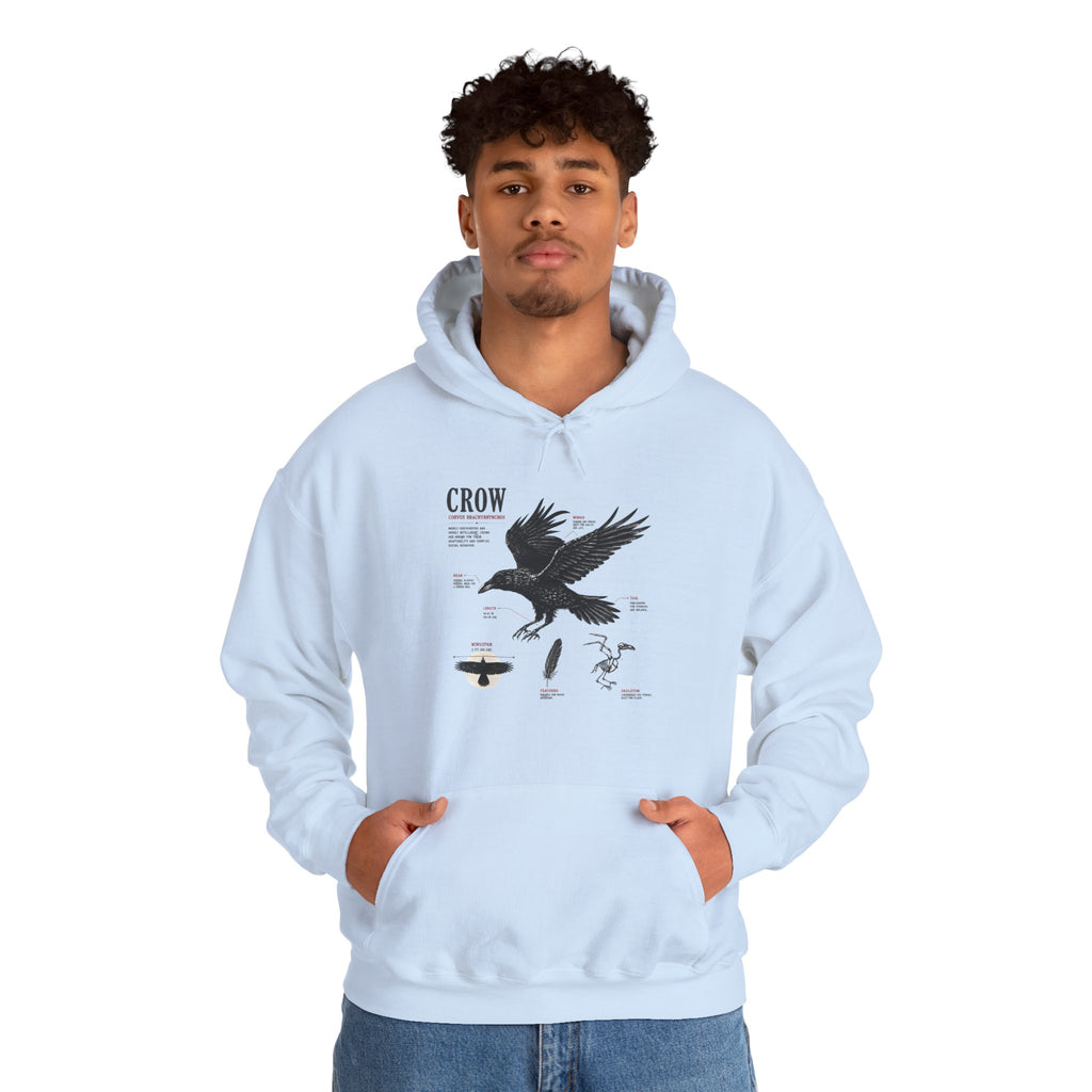 Crow Anatomy Hoodie — Vintage Raven Diagram Hooded Sweatshirt