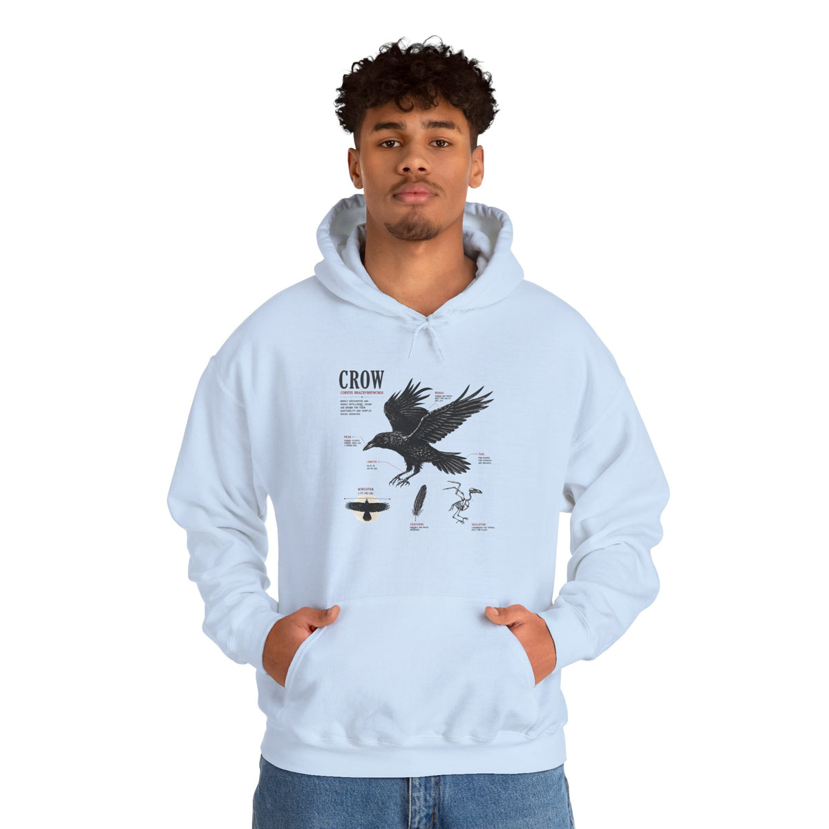 Crow Anatomy Hoodie — Vintage Raven Diagram Hooded Sweatshirt