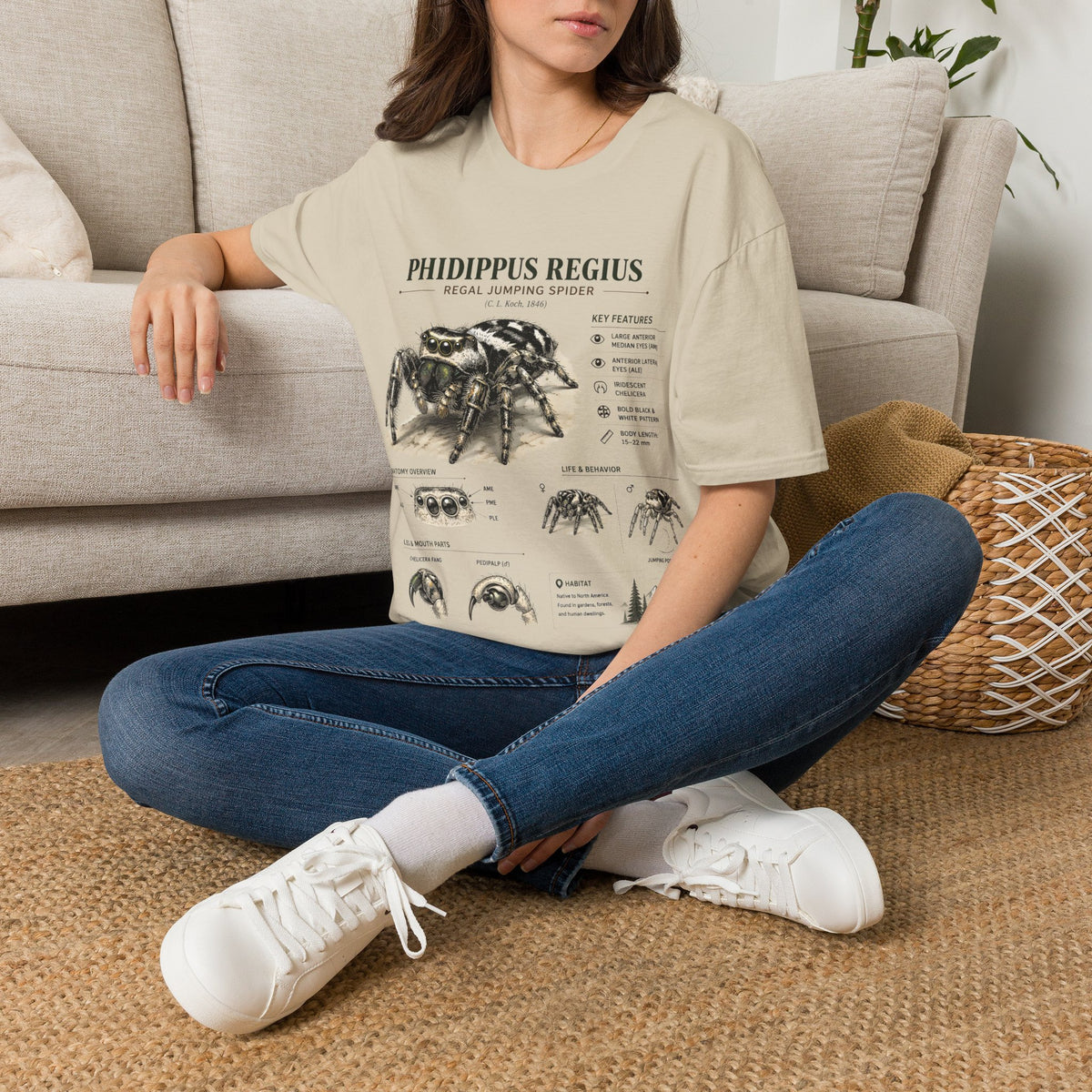 Phidippus Regius Jumping Spider Anatomy T-Shirt — Educational Arachnid Tee