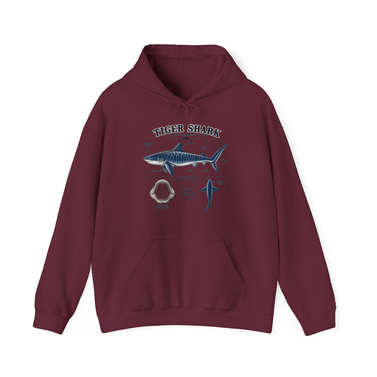 Tiger Shark Anatomy Hoodie — Nautical Science Graphic Pullover Main image