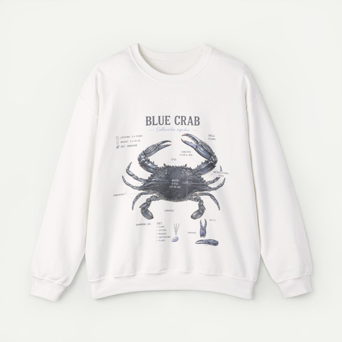 Blue Crab Sweatshirt — Vintage Nautical Marine Illustration Main image