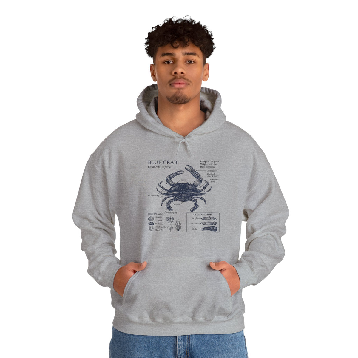 Blue Crab Anatomy Hoodie – Nautical Marine Biology Graphic Sweatshirt