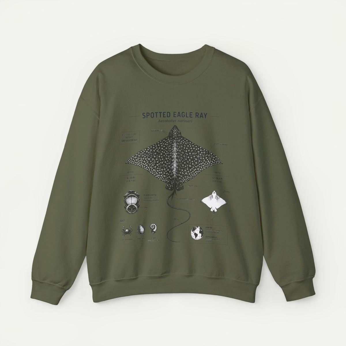 Spotted Eagle Ray Anatomy Sweatshirt – Marine Biology Illustration
