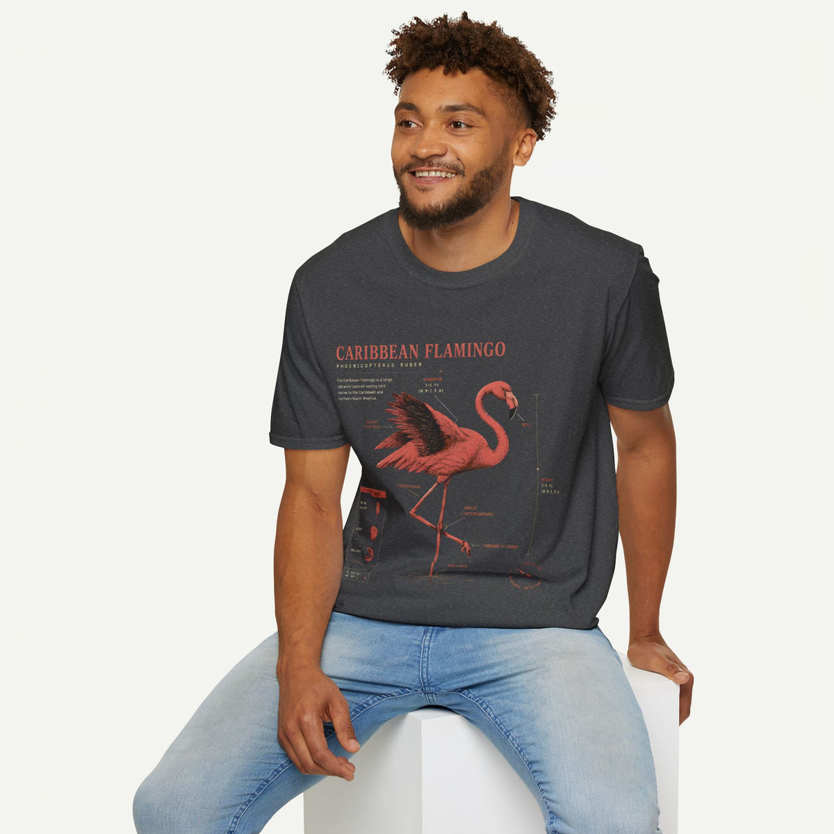 Flamingo Anatomy T-shirt — "Caribbean Flamingo" Vintage Tropical Tee