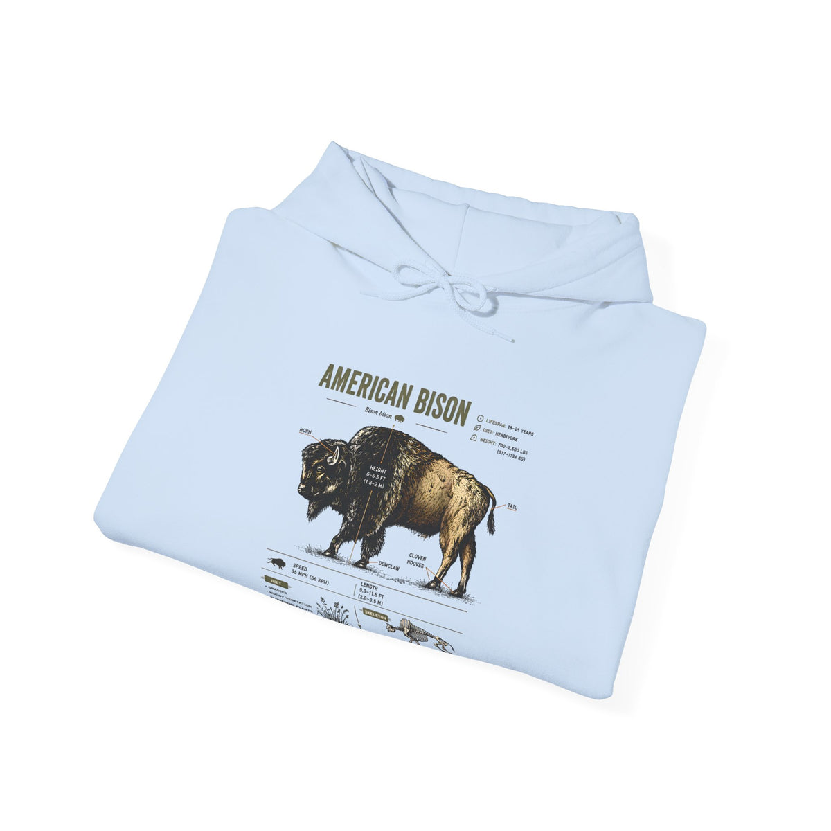 Bison Anatomy Hoodie — American Bison Illustration & Facts Sweatshirt