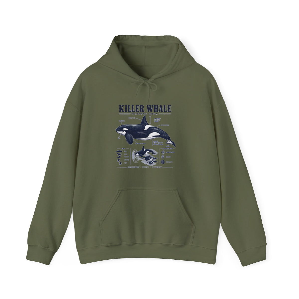 Killer Whale Anatomy Hoodie — Orca Scientific Diagram Sweatshirt