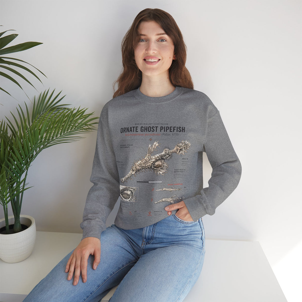 Ornate Ghost Pipefish Anatomy Sweatshirt
