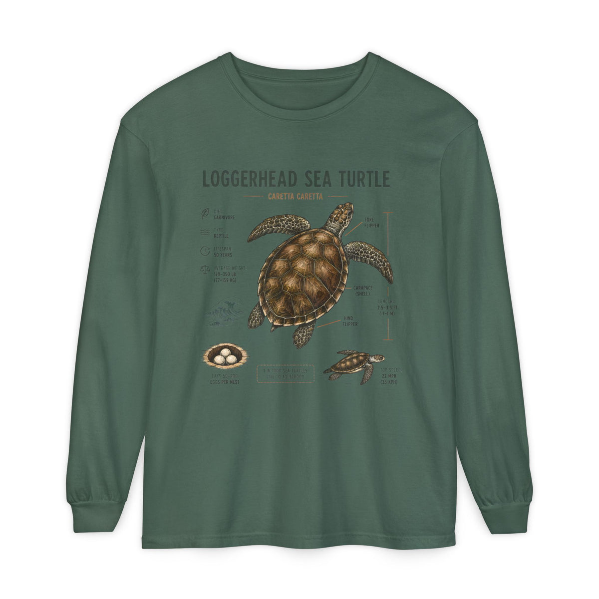 Loggerhead Sea Turtle Anatomy Long Sleeve Tee