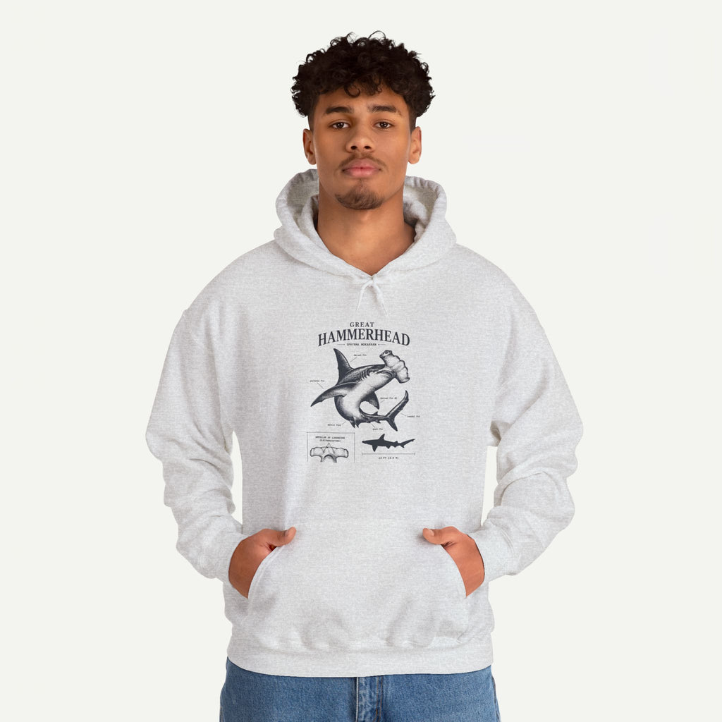 Hammerhead Shark Anatomy Hoodie – Marine Biology Graphic