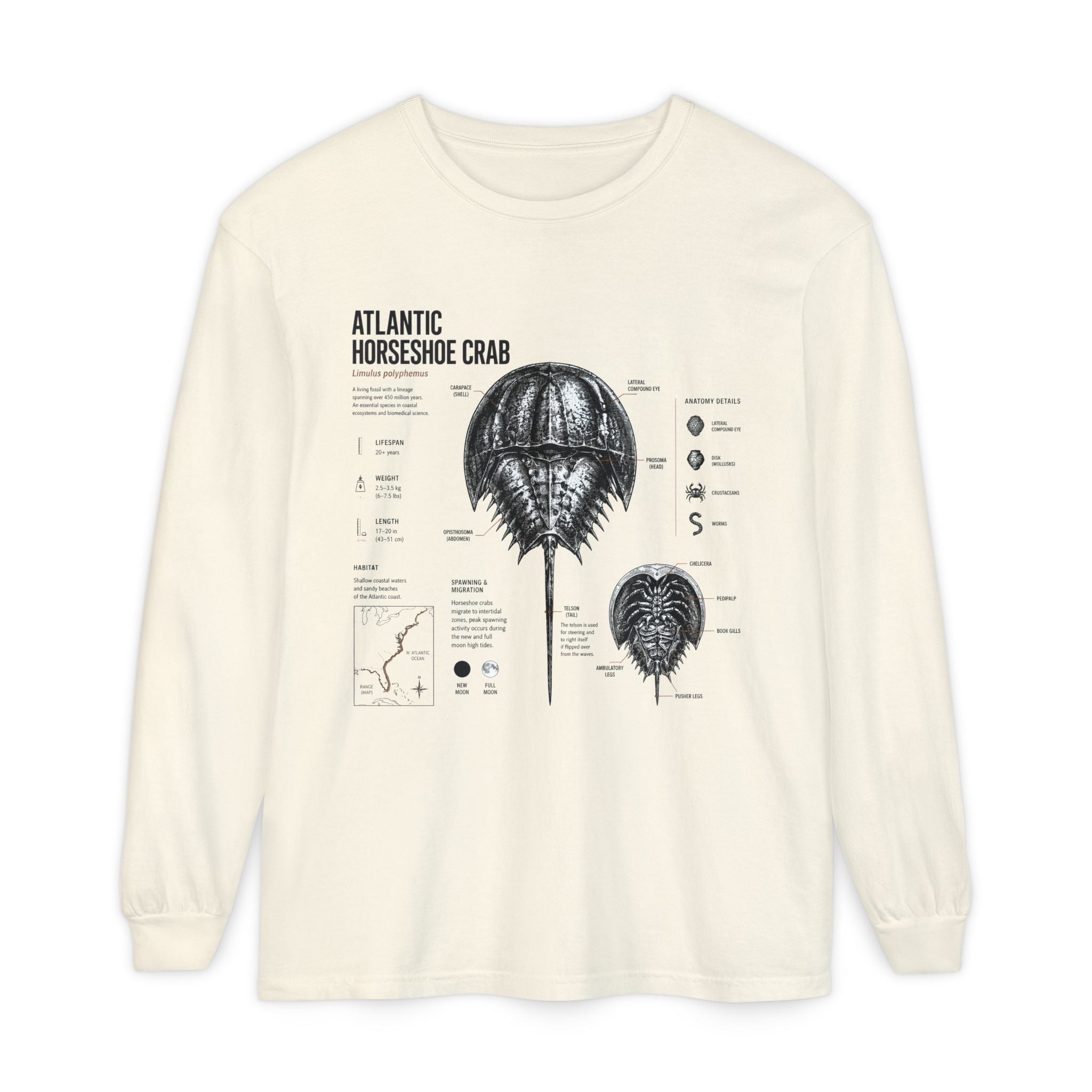 Atlantic Horseshoe Crab Anatomy Long Sleeve Tee Secondary image