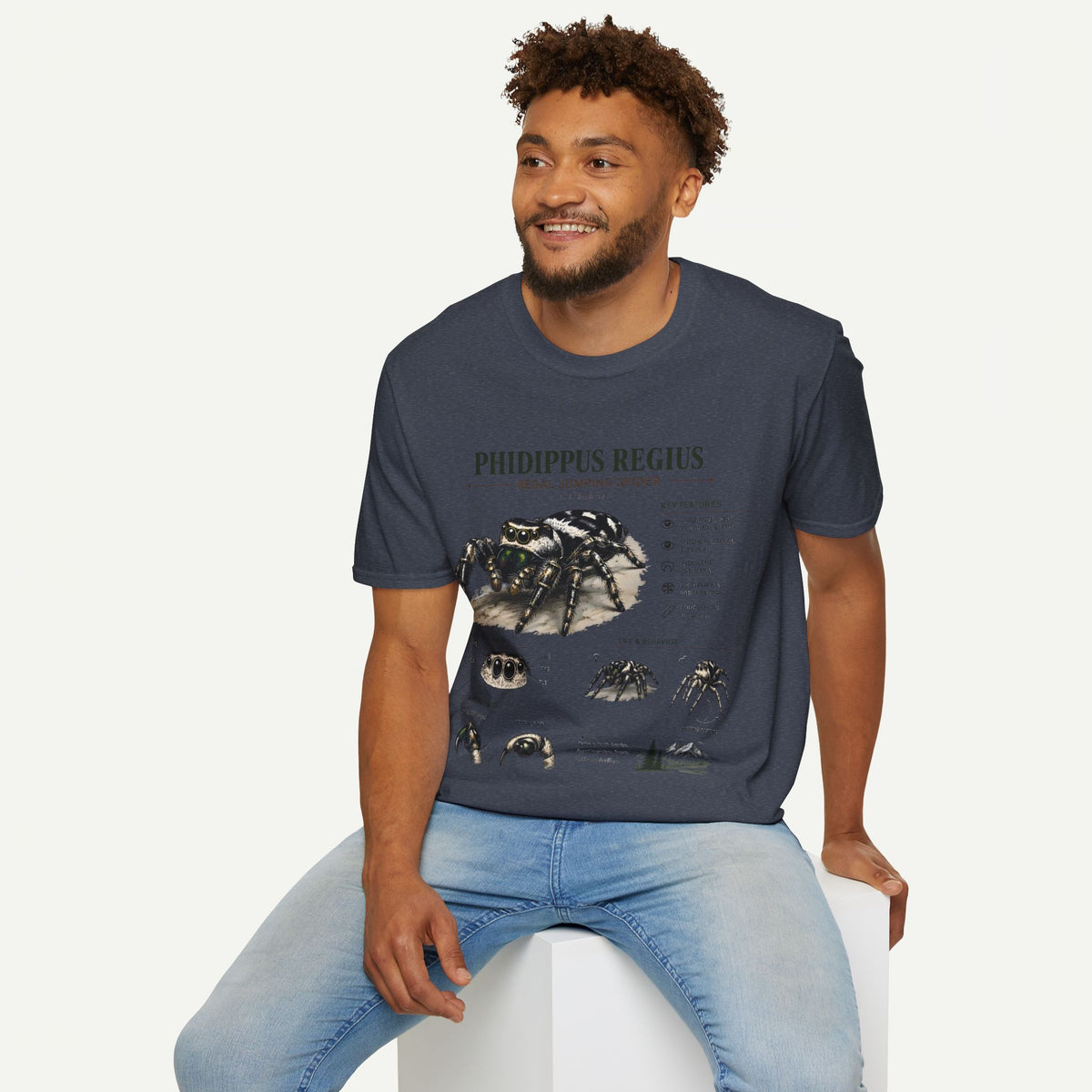 Phidippus Regius Jumping Spider Anatomy T-Shirt — Educational Arachnid Tee