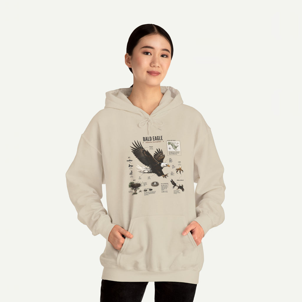 Eagle Graphic Hoodie — Bald Eagle Nature Print Sweatshirt