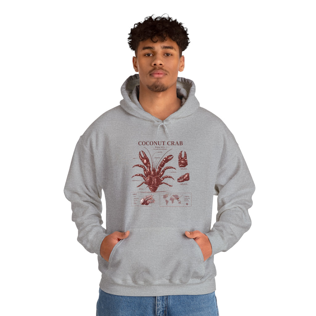 Coconut Crab Anatomy Hoodie — Vintage Botanical & Marine Study Print