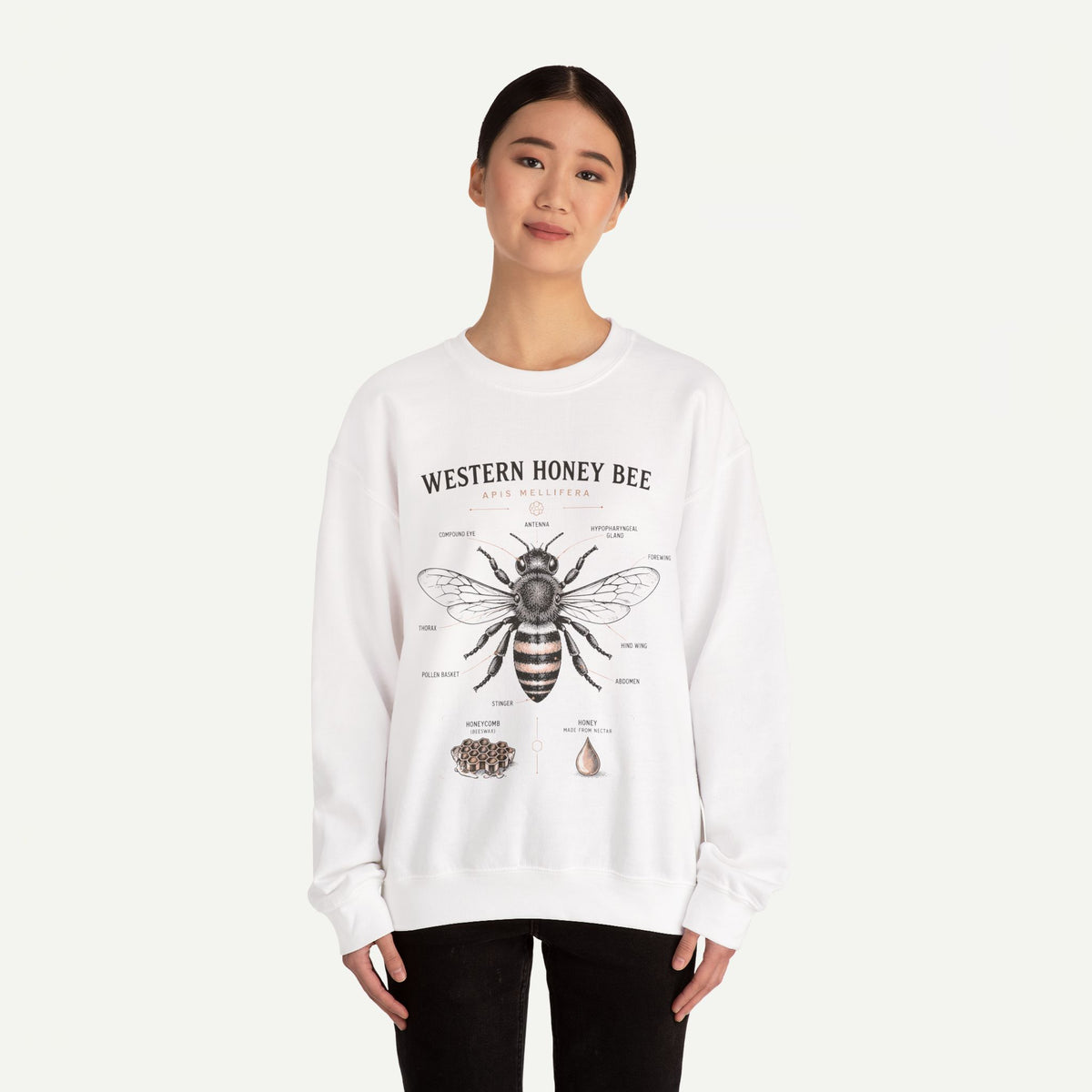 Western Honey Bee Sweatshirt — Vintage Bee Anatomy Graphic