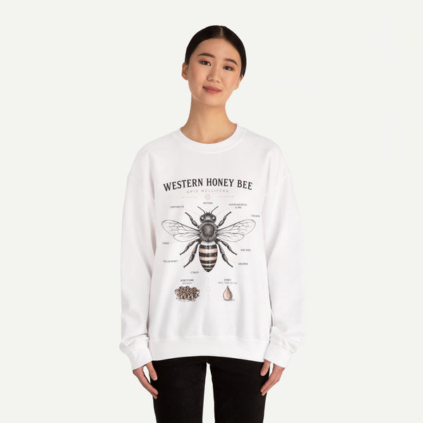 Western Honey Bee Sweatshirt — Vintage Bee Anatomy Graphic
