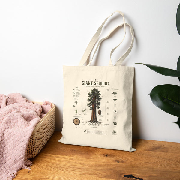 Giant Sequoia Canvas Tote Bag – Botanical Tree Illustration Eco Grocery Bag