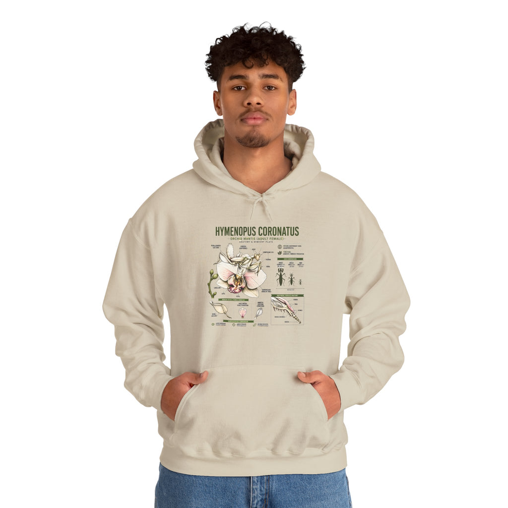 Botanical Hooded Sweatshirt — Hymenopus Coronatus Praying Mantis Illustration
