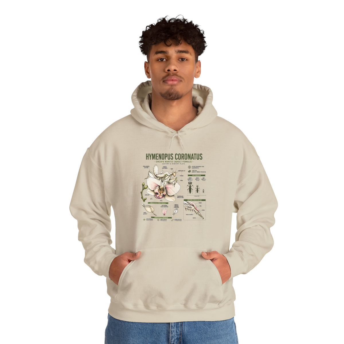 Botanical Hooded Sweatshirt — Hymenopus Coronatus Praying Mantis Illustration