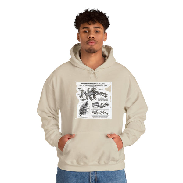 Botanical Anatomy Hoodie — Vintage Plant Diagram Sweatshirt