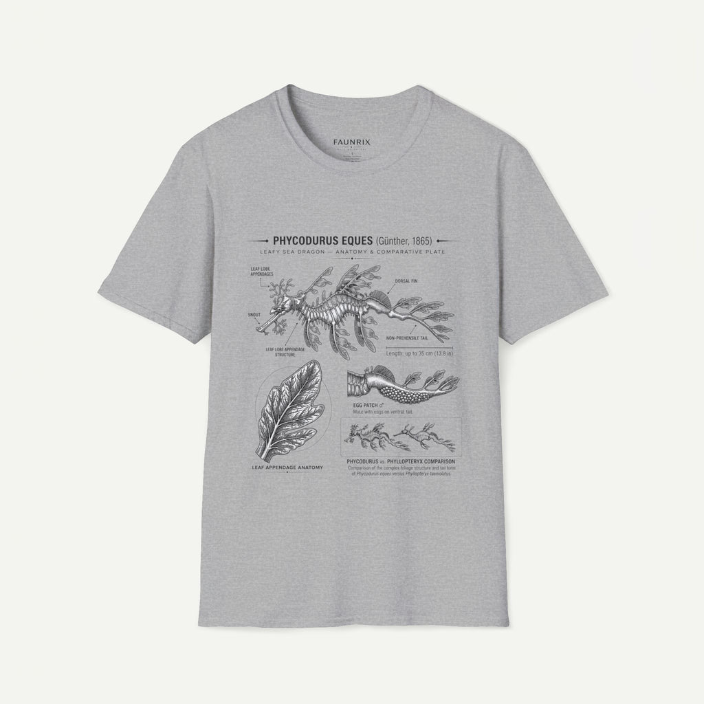 Sea Dragon Anatomy T-Shirt — Phycodurus Eques Botanical Illustration Tee