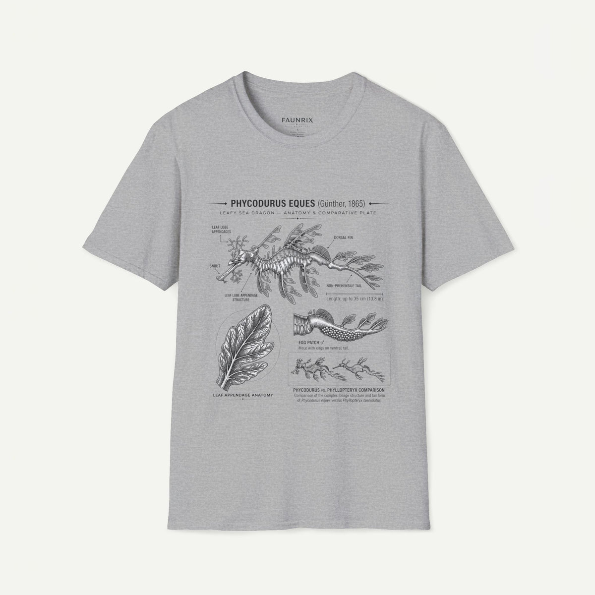 Sea Dragon Anatomy T-Shirt — Phycodurus Eques Botanical Illustration Tee
