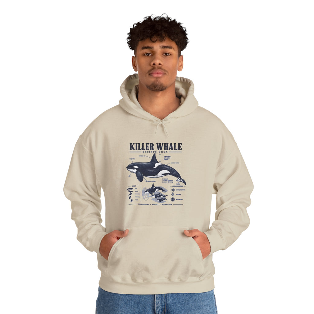Killer Whale Anatomy Hoodie — Orca Scientific Diagram Sweatshirt