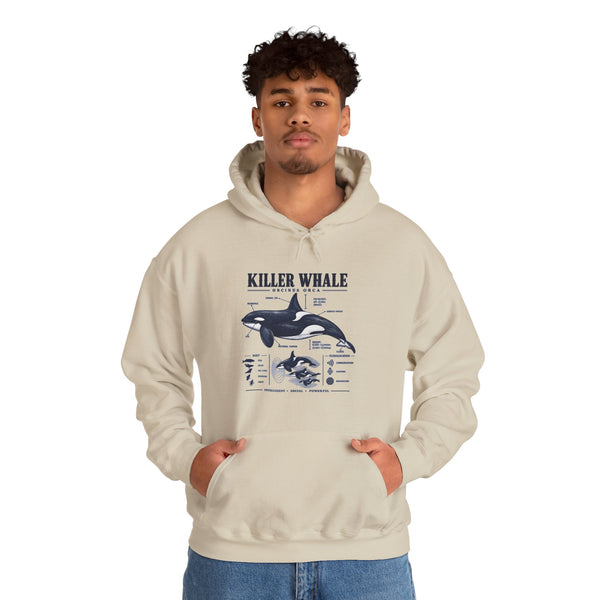 Killer Whale Anatomy Hoodie — Orca Scientific Diagram Sweatshirt