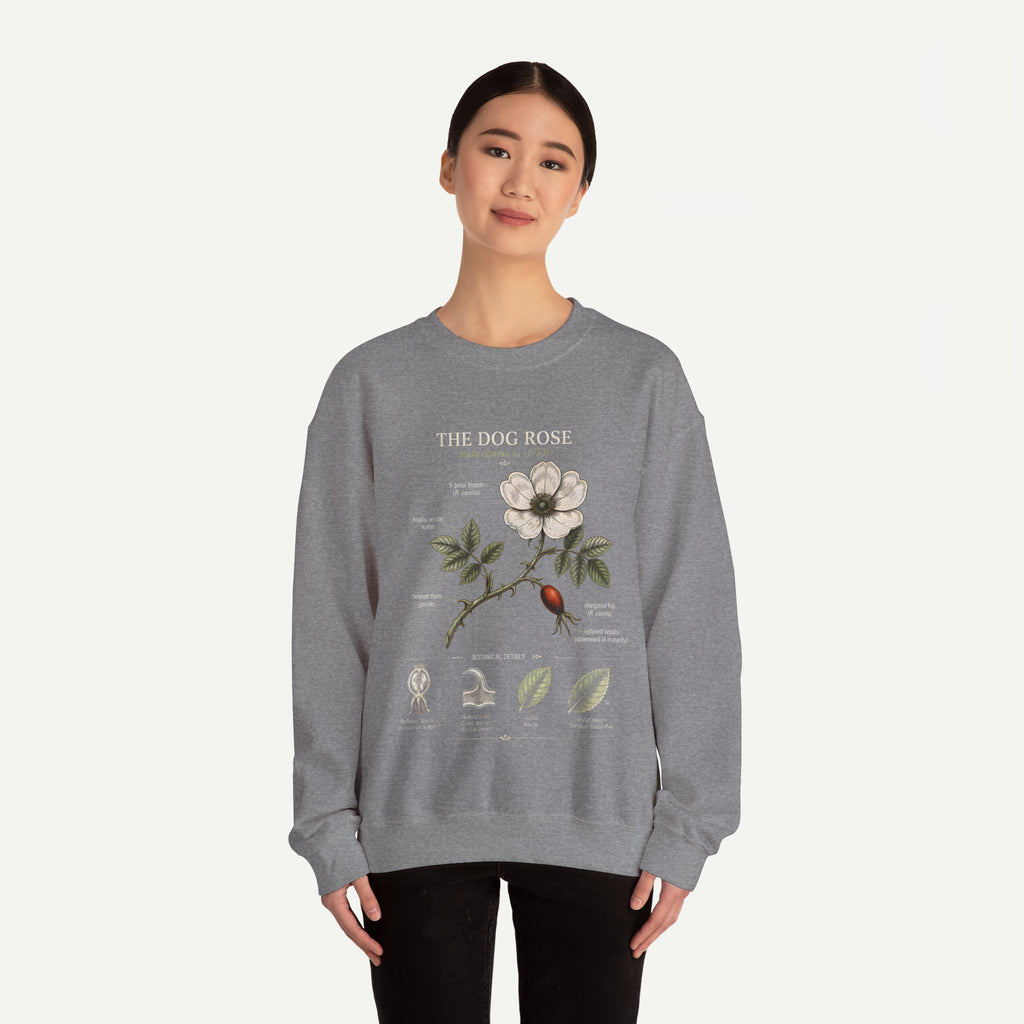 Dog Rose Botanical Sweatshirt — Vintage Floral Anatomy Crewneck