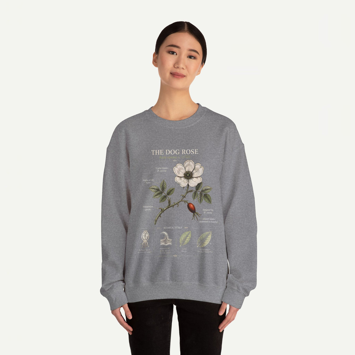 Dog Rose Botanical Sweatshirt — Vintage Floral Anatomy Crewneck