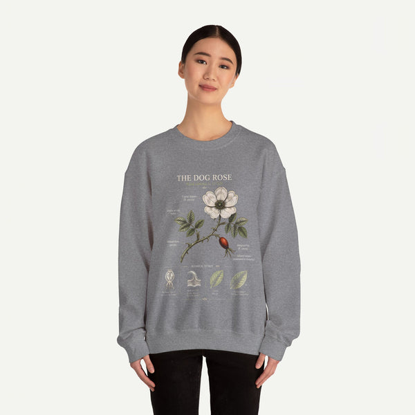 Dog Rose Botanical Sweatshirt — Vintage Floral Anatomy Crewneck
