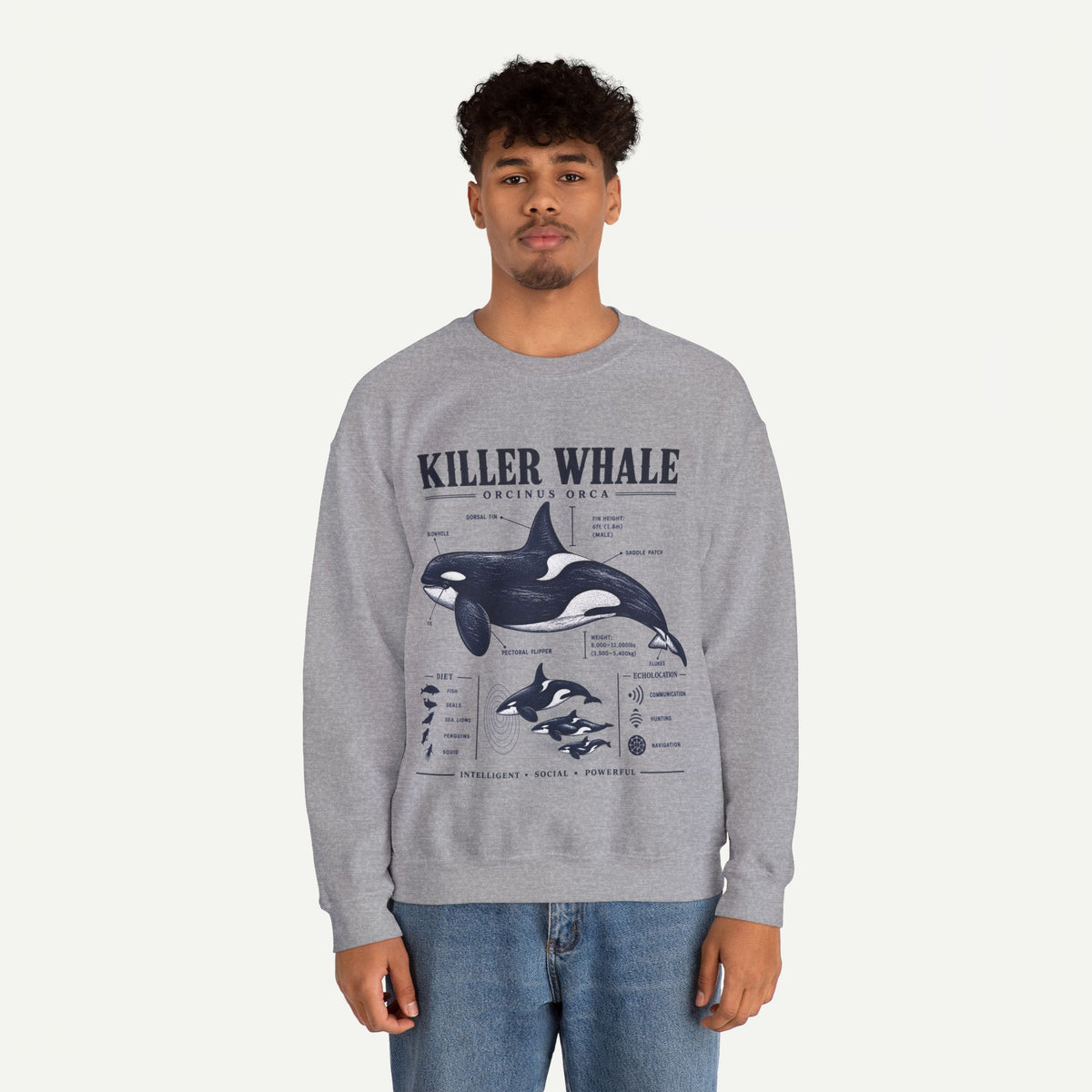 Killer Whale Anatomy Sweatshirt