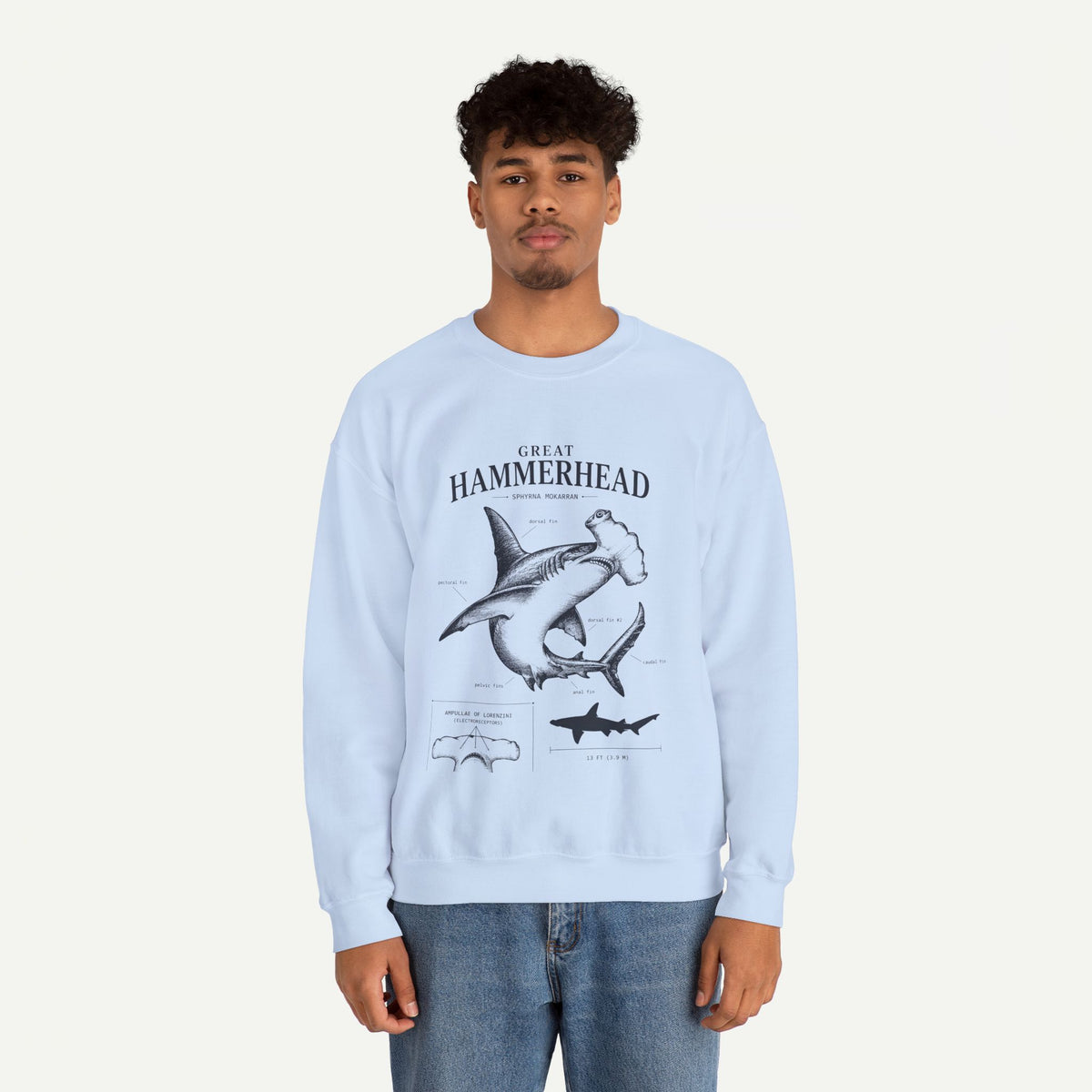 Hammerhead Shark Sweatshirt – Great Hammerhead Illustration