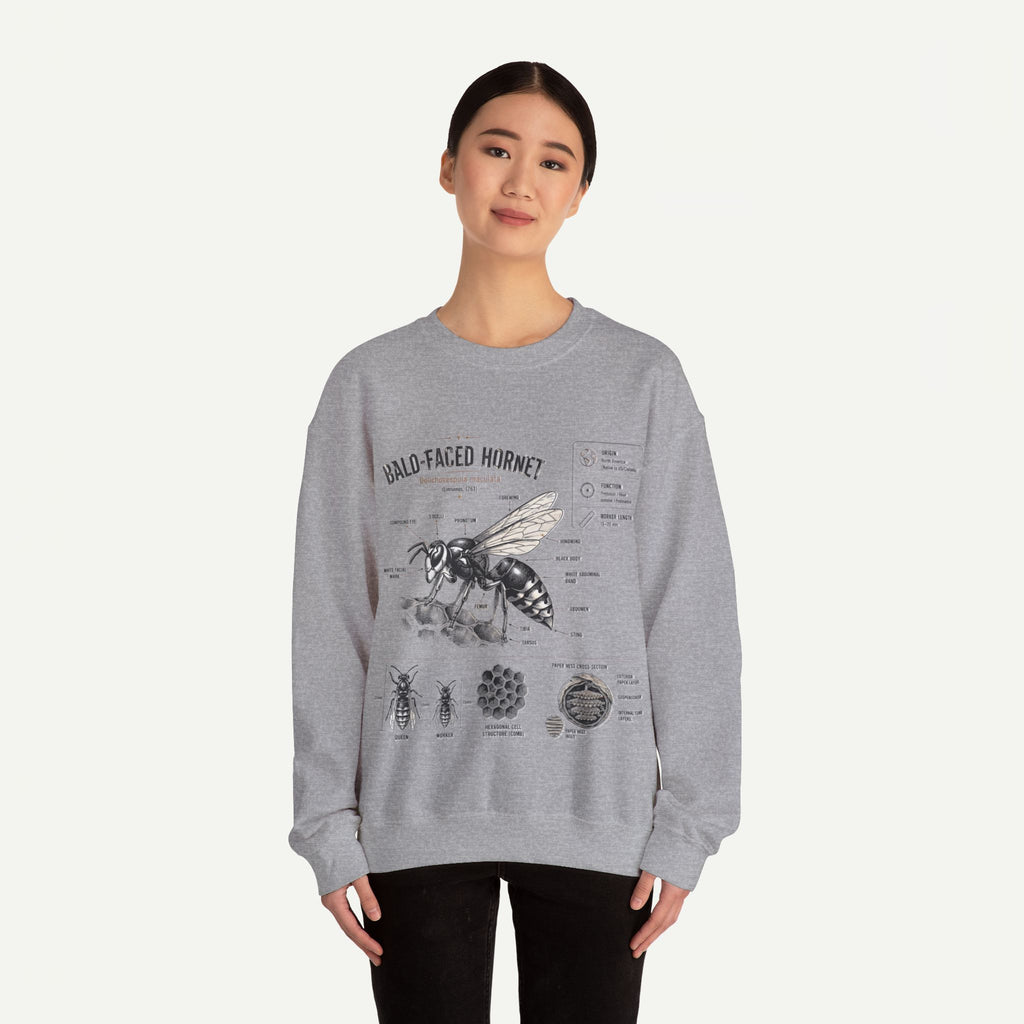 Hornet Anatomy Sweatshirt — Bald-Faced Hornet Diagram Crewneck