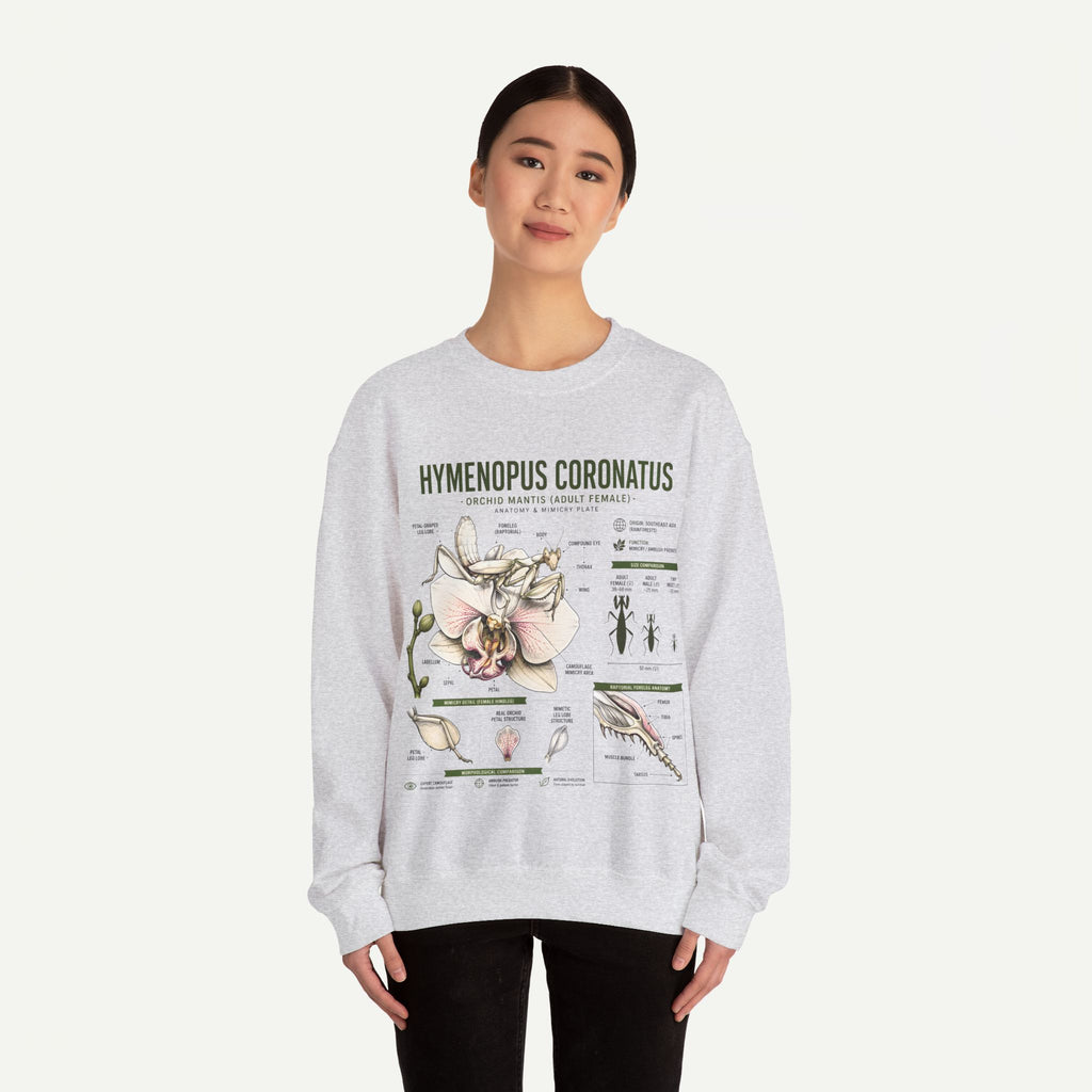 Botanical Anatomy Sweatshirt — Hymenopus Coronatus Illustration