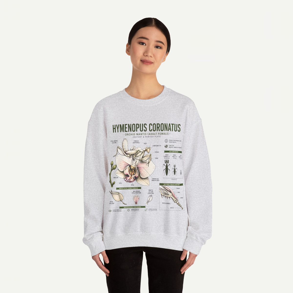 Botanical Anatomy Sweatshirt — Hymenopus Coronatus Illustration