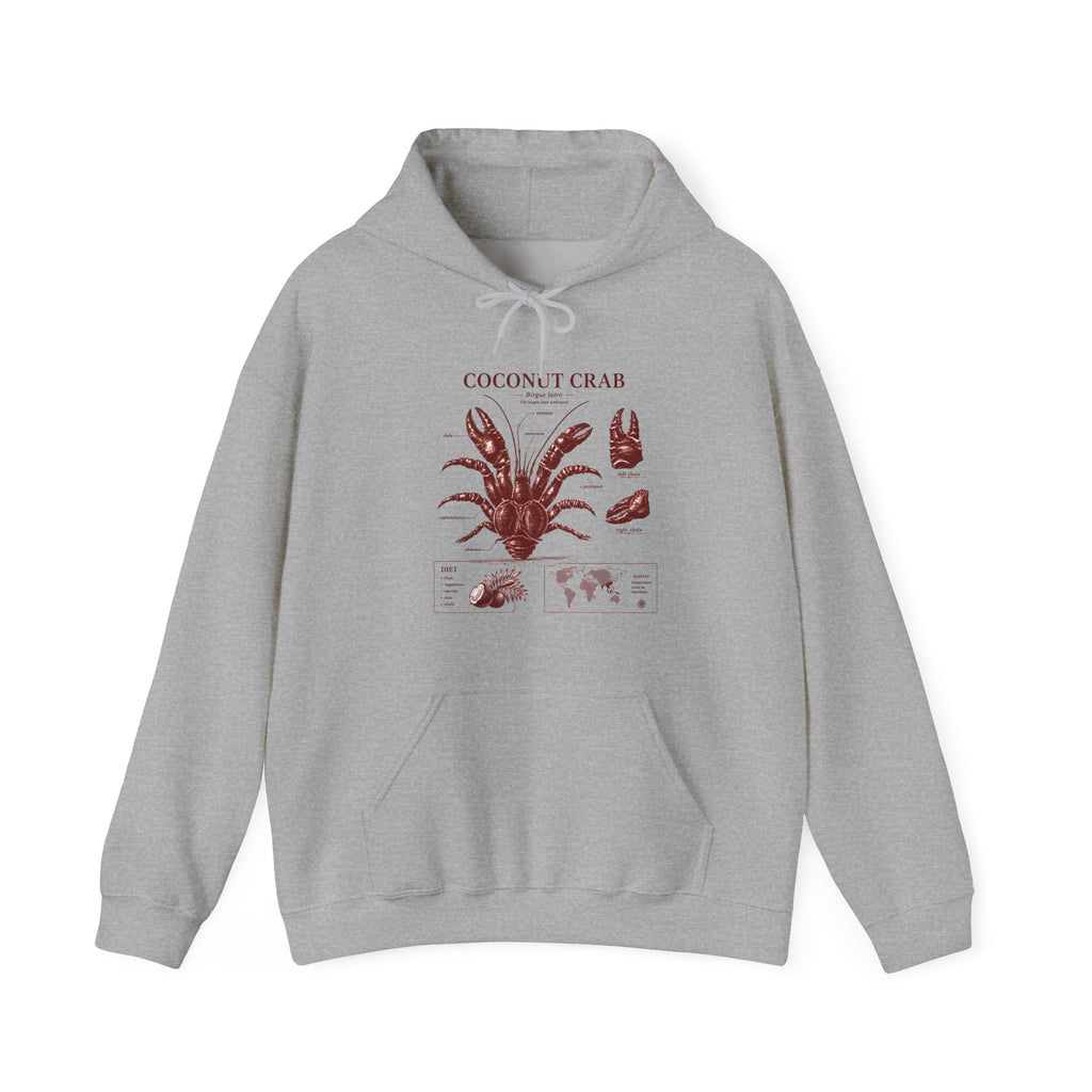 Coconut Crab Anatomy Hoodie — Vintage Botanical & Marine Study Print
