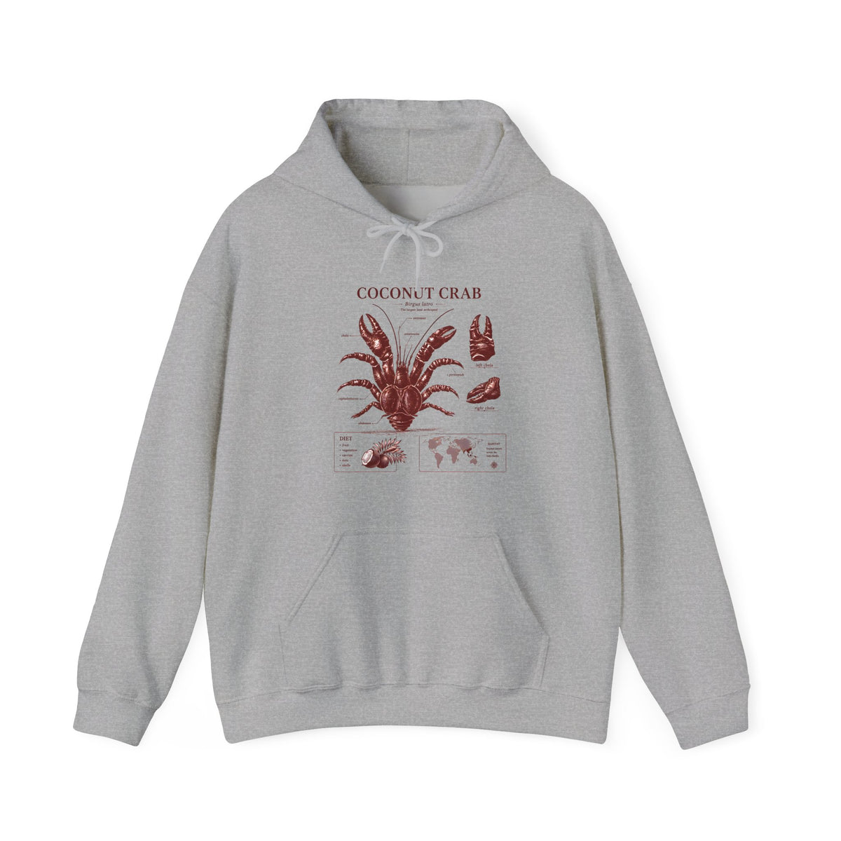 Coconut Crab Anatomy Hoodie — Vintage Botanical & Marine Study Print