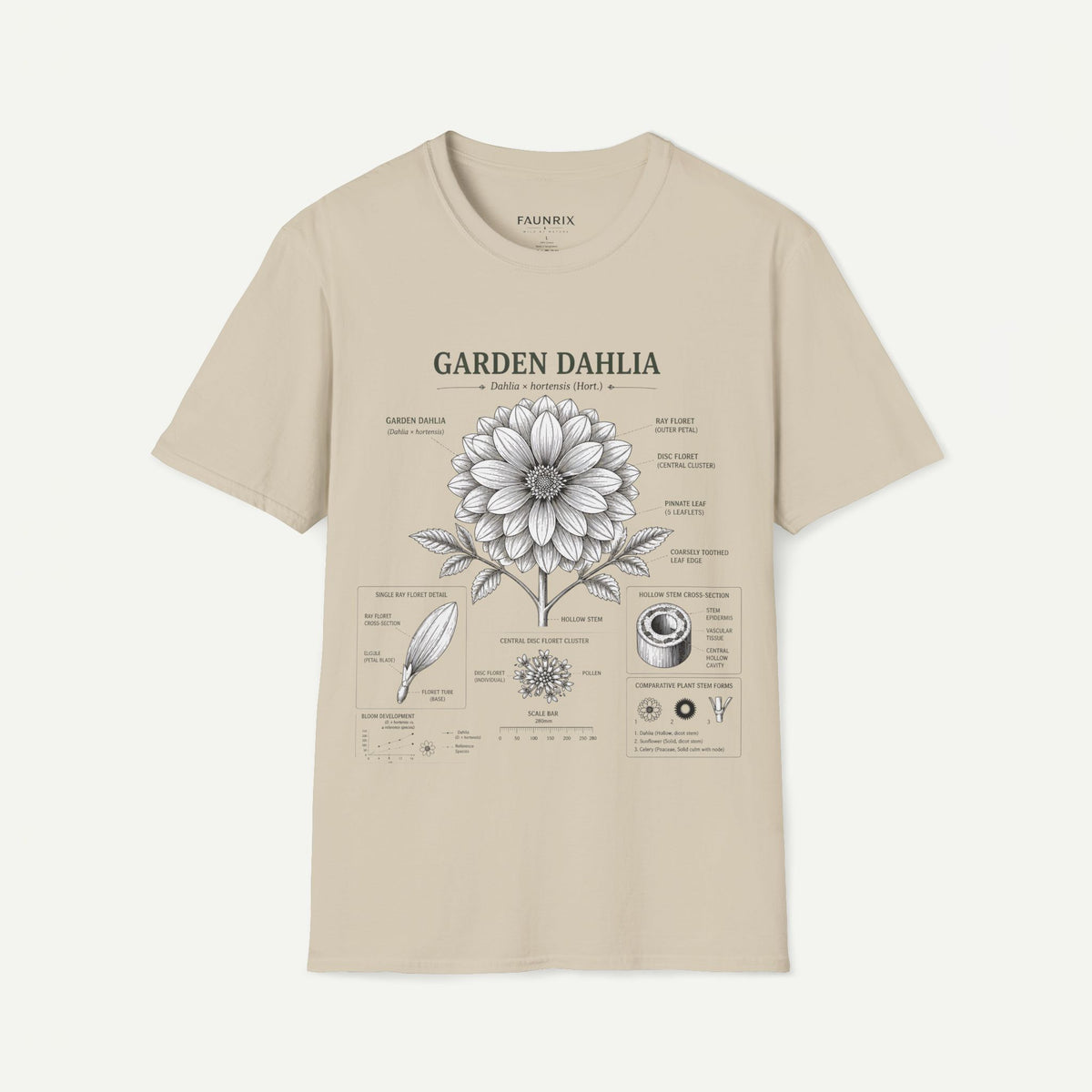 Dahlia Botanical Tee — 'Garden Dahlia' Floral Anatomy T-Shirt