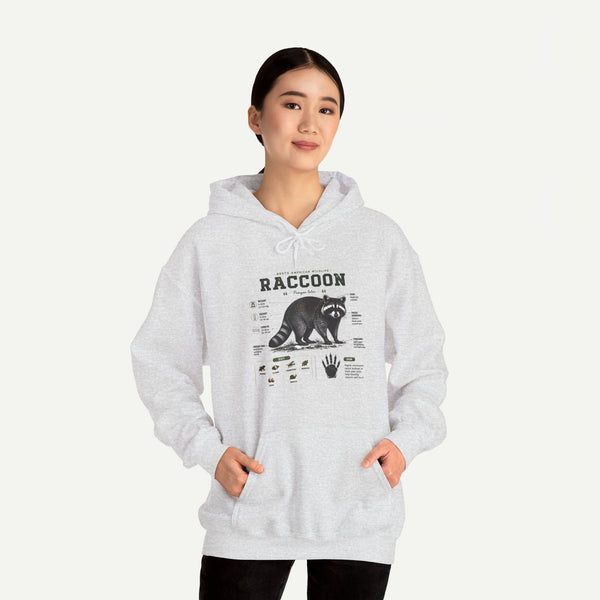Raccoon Anatomy Hoodie — Vintage Wildlife Illustration Sweatshirt