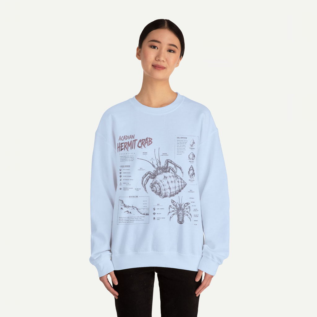 Hermit Crab Anatomy Sweatshirt — Acadian Hermit Crab Illustration