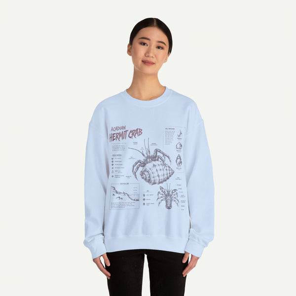 Hermit Crab Anatomy Sweatshirt — Acadian Hermit Crab Illustration