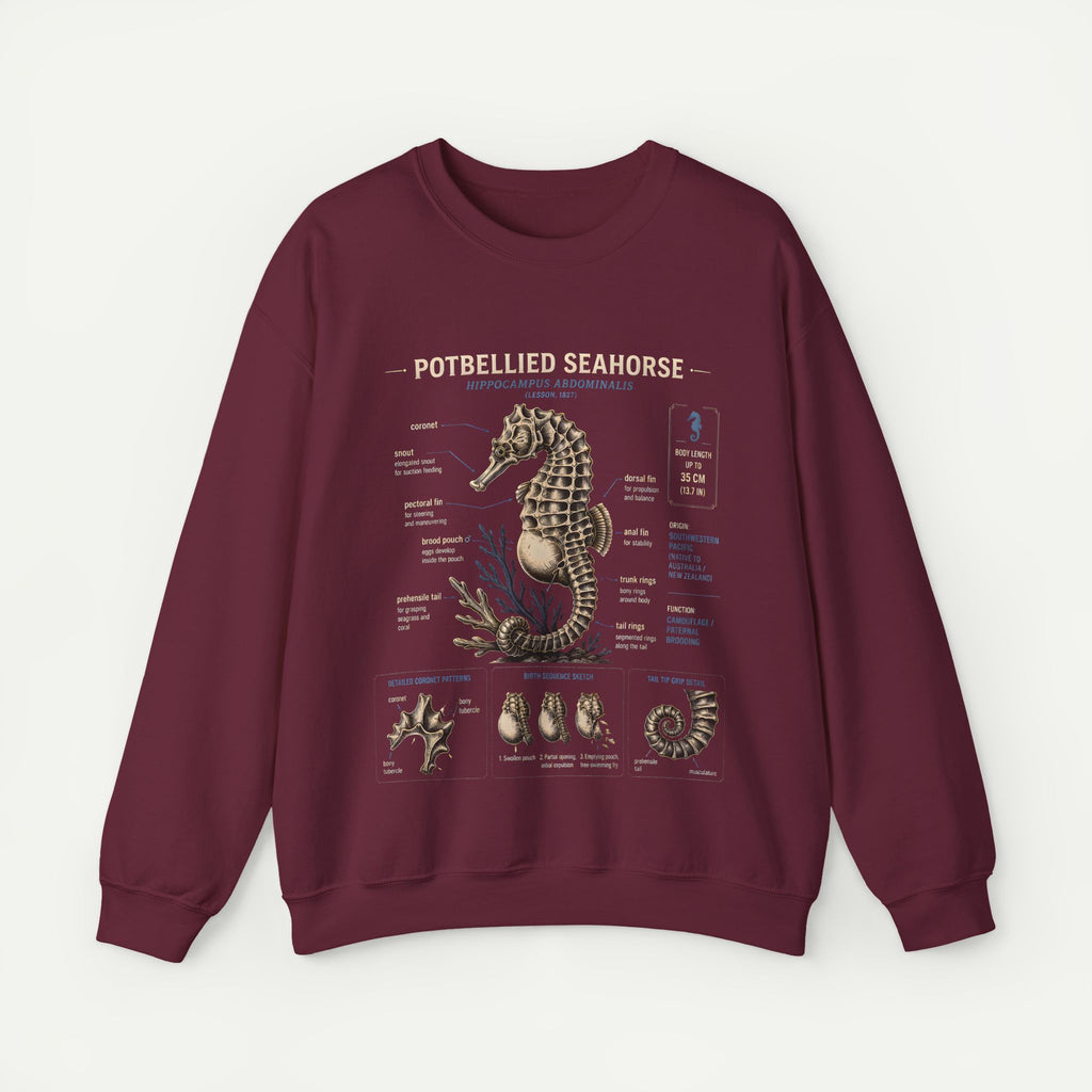 Potbellied Seahorse Anatomy Sweatshirt – Marine Biology Illustration Crewneck