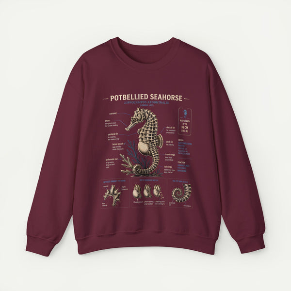 Potbellied Seahorse Anatomy Sweatshirt – Marine Biology Illustration Crewneck