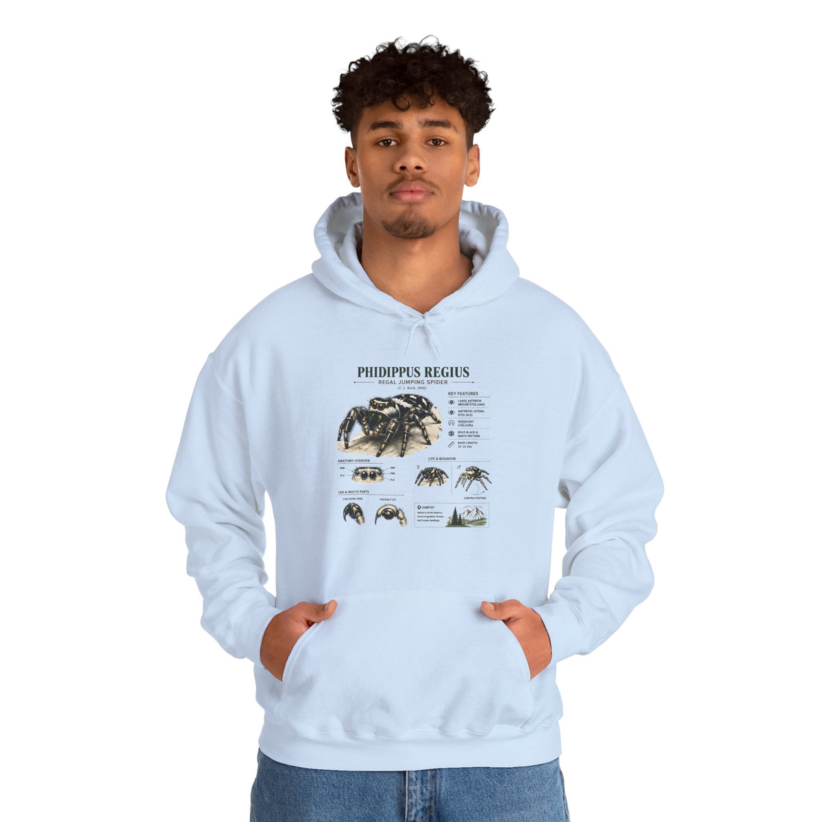 Tarantula Species Hoodie — Phidippus Regius Educational Spider Sweatshirt